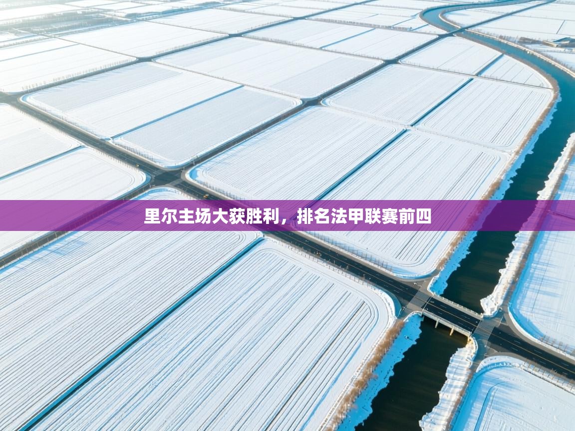 里尔主场大获胜利，排名法甲联赛前四  第1张