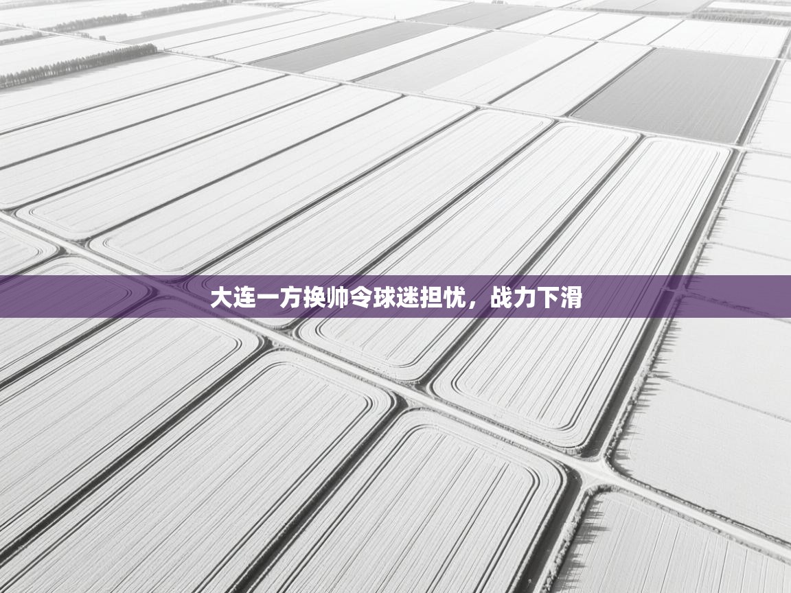 大连一方换帅令球迷担忧，战力下滑