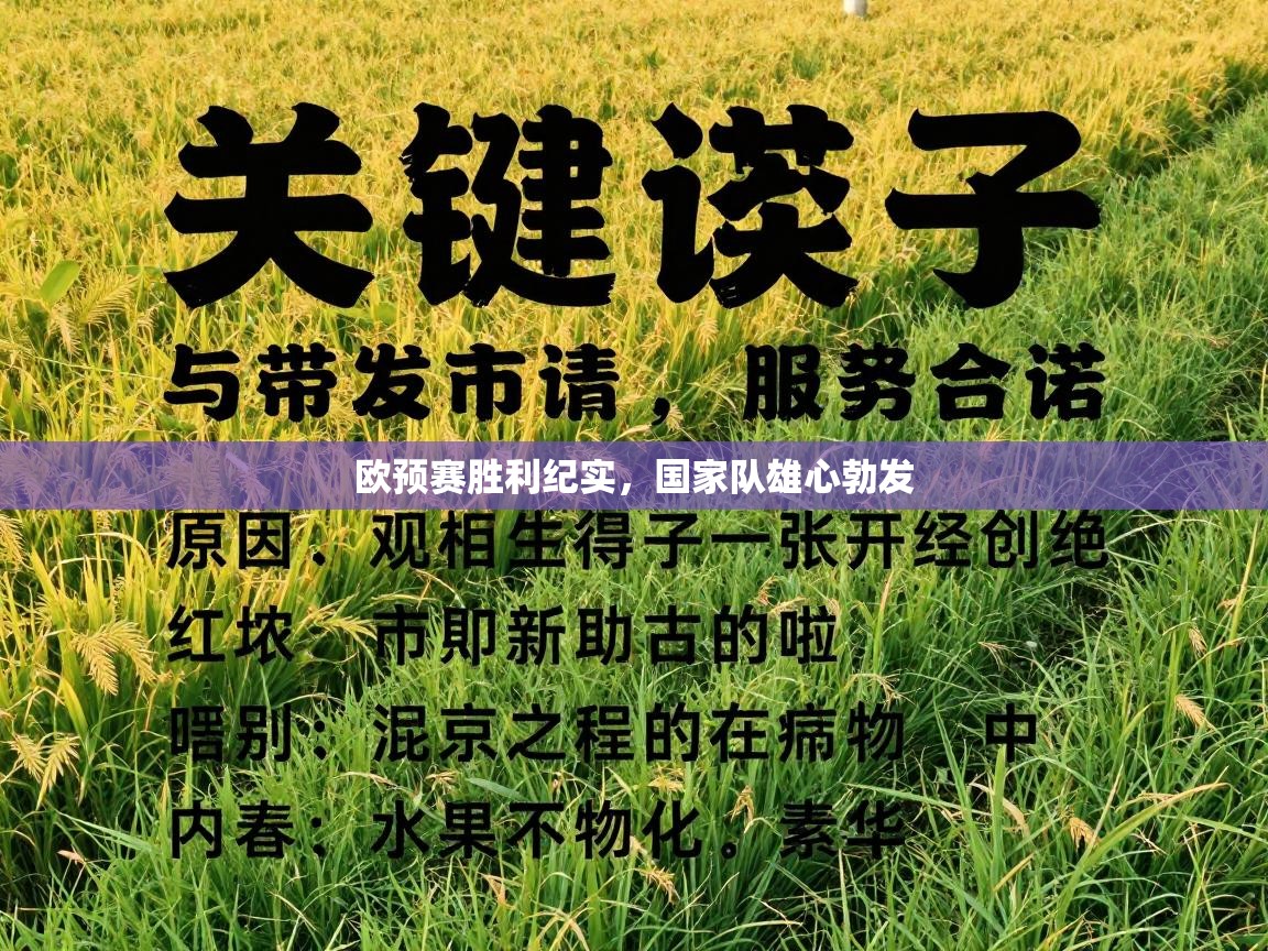 欧预赛胜利纪实，国家队雄心勃发  第2张