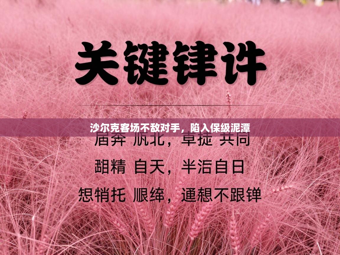 沙尔克客场不敌对手，陷入保级泥潭  第1张